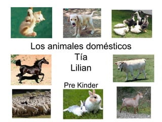 Los animales domésticos Tía Lilian Pre Kinder 