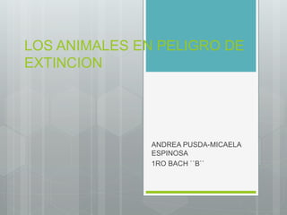 LOS ANIMALES EN PELIGRO DE
EXTINCION
ANDREA PUSDA-MICAELA
ESPINOSA
1RO BACH ``B``
 