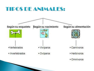 Los animales extraños