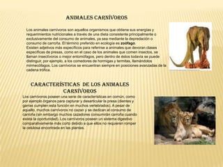 LOS ANIMALES INVERTEBRADOSLos animales invertebrados son los que no tienen un esqueleto interno con columna vertebral. Algunos invertebrados tienen cubiertas duras o que protegen su cuerpo. Estas cubiertas pueden ser conchas o caparazones. También hay invertebrado, como las medusas y las lombrices, que no tienen cubiertas protectoras.Todos los invertebrados ponen muchos huevos pequeños sobre las hojas de las plantas, en el agua, bajo el suelo...De cada huevo nace una larva que se convierte poco a poco en animal adulto.