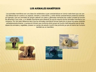 Animales ovíparos: avesLos animales ovíparos son todas aquellas especies que nacen a partir de un huevo fecundado, y las especies que más se conocen son los peces, las aves, los anfibios y los reptiles. En el caso de las aves debemos decir que el tiempo en el que tarda en romperse un huevo depende principalmente de la especie ya que por ejemplo, las especies más grandes suelen tardar entre dos y tres meses desde que el huevo es fecundado hasta que el pichón nace, y en el caso de las especies mas chicas, la espera se puede demorar hasta los cinco meses. Es importante destacar el hecho de que para que un pichón nazca, el huevo debe estar fecundado primero, de lo contrario la hembra pone los huevos pero los mismos están vacíos y esto es algo que mucha gente no lo sabe. 