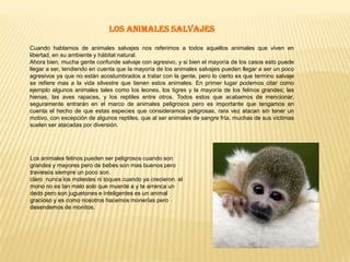 Los animales mamíferosLos animales mamíferos son una clase de vertebrados cuyas características en común nada tiene que ver con sus diferencias en cuanto a su especie, tamaño y costumbres, y entre dichas características podemos nombrar por ejemplo, que son animales de sangre caliente con pelos y glándulas mamarias las cuales cumplen la función de alimentar a sus crías, y un detalle importante para destacar es que la mayoría de los animales mamíferos son vivíparos. Por otro lado debemos decir que los animales mamíferos forman parte de un grupo de seres vivientes verdaderamente diverso, y aunque el número que conforma dicho grupo es mucho más pequeños que el otras clases de animales y vegetales, poseen un campo de estudio mucho mas profundo ya que el mismo ser humano también es un mamífero. 