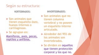 Según su estructura:
VERTEBRADOS:
 Son animales que
tienen esqueleto óseo,
huesos internos o
cartilaginoso.
 Se agrupan en:
Mamíferos, aves, peces,
reptiles y anfibios.
INVERTEBRADOS:
 Son animales que no
tienen columna
vertebral y no poseen
un esqueleto interno
articulado.
 Alrededor del 95% de
los animales son
invertebrados.
 Se dividen en aquellos
que tienen protección
corporal y los que no.
 