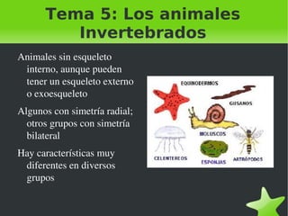 Tema 5: Los animales Invertebrados ,[object Object]
