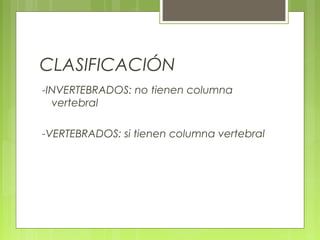 CLASIFICACIÓN
-INVERTEBRADOS: no tienen columna
  vertebral

-VERTEBRADOS: si tienen columna vertebral
 