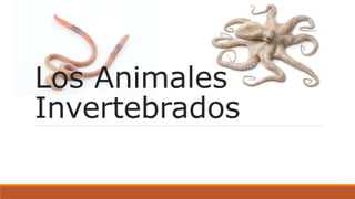 Los Animales
Invertebrados
 