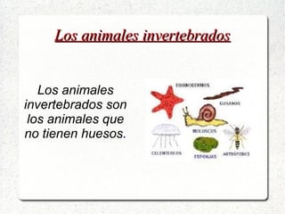 Los animales invertebradosLos animales invertebrados
Los animales
invertebrados son
los animales que
no tienen huesos.
 