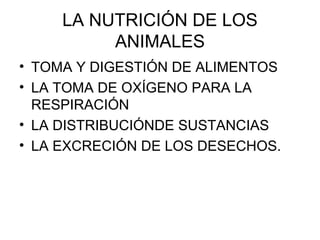 LA NUTRICIÓN DE LOS
ANIMALES
• TOMA Y DIGESTIÓN DE ALIMENTOS
• LA TOMA DE OXÍGENO PARA LA
RESPIRACIÓN
• LA DISTRIBUCIÓNDE SUSTANCIAS
• LA EXCRECIÓN DE LOS DESECHOS.
 