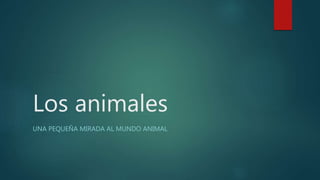 Los animales
UNA PEQUEÑA MIRADA AL MUNDO ANIMAL
 