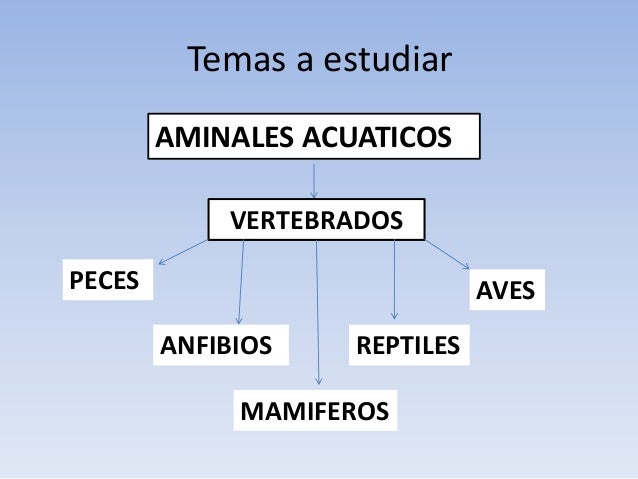 Los animales marinos vertebrados