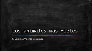 Los animales mas fieles
C. Verónica Valenzo Velazquez
 