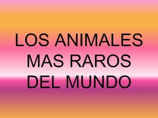 LOS ANIMALES MAS RAROS DEL MUNDO 