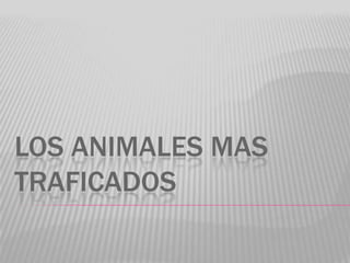 LOS ANIMALES MAS
TRAFICADOS

 