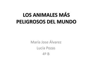 LOS ANIMALES MÁS
PELIGROSOS DEL MUNDO
María Jose Álvarez
Lucía Pozas
4º B
 