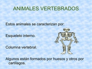 Los animales open office | ODP