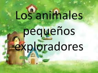 Los animales
pequeños
exploradores
 