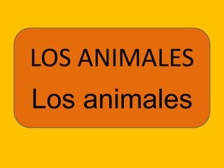 LOS ANIMALES Los animales 