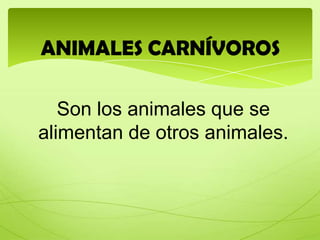 ANIMALES CARNÍVOROS

   Son los animales que se
alimentan de otros animales.
 