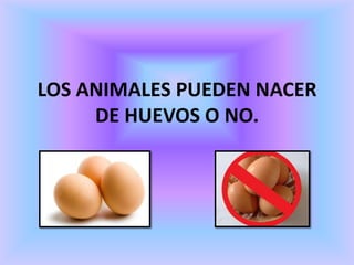 LOS ANIMALES PUEDEN NACER
DE HUEVOS O NO.

 