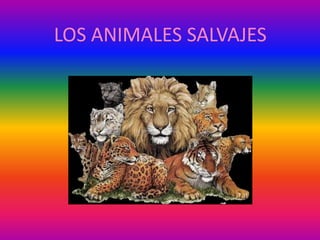 LOS ANIMALES SALVAJES 