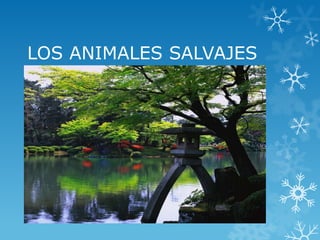 LOS ANIMALES SALVAJES

 