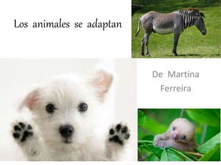 Los animales se adaptan
De Martina
Ferreira
 