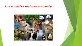 Los animales según su ambiente.
 