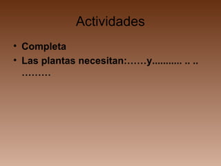 Actividades
• Completa
• Las plantas necesitan:……y........... .. ..
………
 