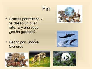 Fin
• Gracias por mirarlo y
os deseo un buen
rato, a y una cosa
¿os ha gustado?
• Hecho por: Sophia
Cisneros
 