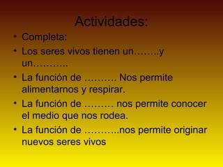 Actividades:
• Completa:
• Los seres vivos tienen un……..y
un………..
• La función de ………. Nos permite
alimentarnos y respirar.
• La función de ……… nos permite conocer
el medio que nos rodea.
• La función de ………..nos permite originar
nuevos seres vivos
 