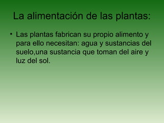 La alimentación de las plantas:
• Las plantas fabrican su propio alimento y
para ello necesitan: agua y sustancias del
suelo,una sustancia que toman del aire y
luz del sol.
 