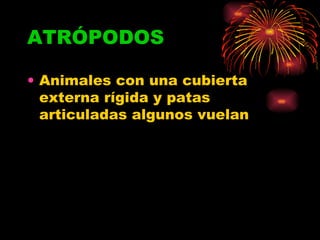 ATRÓPODOS Animales con una cubierta externa rígida y patas articuladas algunos vuelan 