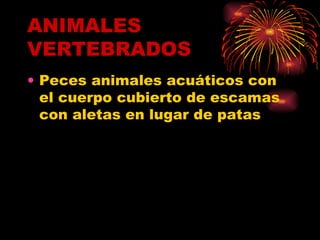 ANIMALES VERTEBRADOS Peces animales acuáticos con el cuerpo cubierto de escamas con aletas en lugar de patas 