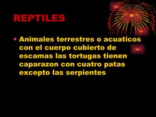 REPTILES Animales terrestres o acuaticos con el cuerpo cubierto de escamas las tortugas tienen caparazon con cuatro patas excepto las serpientes 