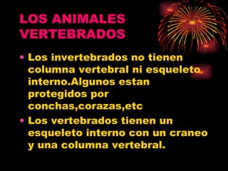 LOS ANIMALES VERTEBRADOS Los invertebrados no tienen columna vertebral ni esqueleto interno.Algunos estan protegidos por conchas,corazas,etc Los vertebrados tienen un esqueleto interno con un craneo y una columna vertebral. 