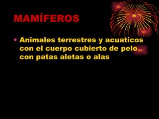 MAMÍFEROS Animales terrestres y acuaticos con el cuerpo cubierto de pelo con patas aletas o alas 