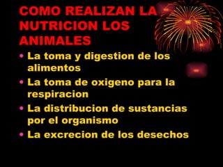 COMO REALIZAN LA NUTRICION LOS ANIMALES La toma y digestion de los alimentos  La toma de oxigeno para la respiracion  La distribucion de sustancias por el organismo  La excrecion de los desechos 