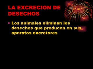 LA EXCRECION DE DESECHOS Los animales eliminan los desechos que producen en sus aparatos excretores 
