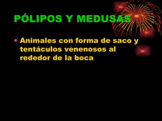 PÓLIPOS Y MEDUSAS Animales con forma de saco y tentáculos venenosos al rededor de la boca 
