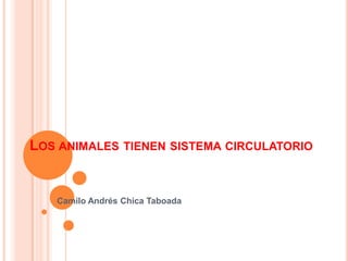LOS ANIMALES TIENEN SISTEMA CIRCULATORIO
Camilo Andrés Chica Taboada
 