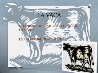 LA VACA
UN ANIMAL QUE PROVEE EL QUESO
LA LECHE

ES UN ANIMAL DOMESTICO
 