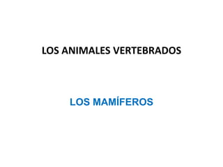 LOS ANIMALES VERTEBRADOS



    LOS MAMÍFEROS
 