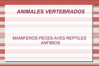 ANIMALES VERTEBRADOS MAMIFEROS PECES AVES REPTILES ANFIBIOS 