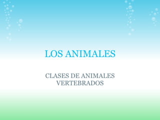 LOS ANIMALES CLASES DE ANIMALES VERTEBRADOS 
