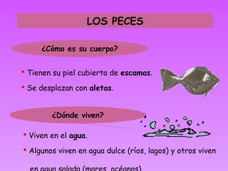 LOS PECES

     ¿Cómo es su cuerpo?


 Tienen su piel cubierta de escamas.

 Se desplazan con aletas.


        ¿Dónde viven?

 Viven en el agua.

 Algunos viven en agua dulce (ríos, lagos) y otros viven
 