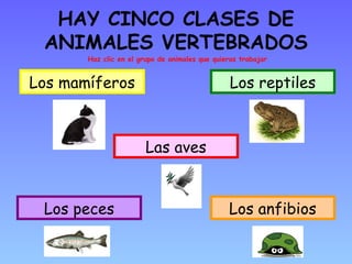 HAY CINCO CLASES DE
 ANIMALES VERTEBRADOS
       Haz clic en el grupo de animales que quieras trabajar


Los mamíferos                                    Los reptiles



                        Las aves


 Los peces                                      Los anfibios
 