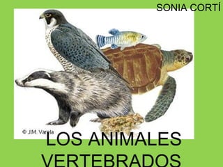 SONIA CORTÍ




LOS ANIMALES
 