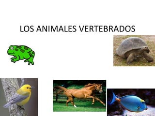 LOS ANIMALES VERTEBRADOS
 