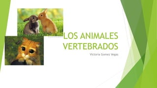 LOS ANIMALES
VERTEBRADOS
Victoria Gomez Vegas
 