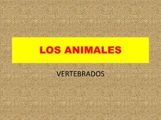 LOS ANIMALES
VERTEBRADOS
 